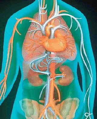 Decodifica biomedica