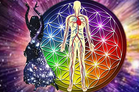 Light Sensitive Dance® & Décryptage Biologique®