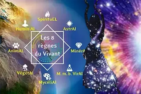 Light Sensitive Dance® & L’HoMSHaM®