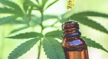 Canabis et homéopathie