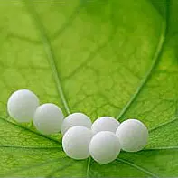 L'omeopatia unitaria pluralista sciamanica